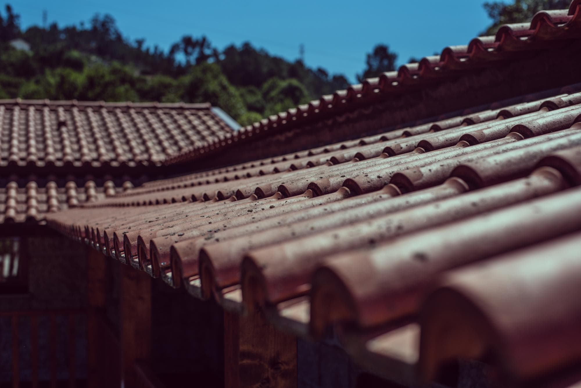 Clay roof tiles along a ridge
